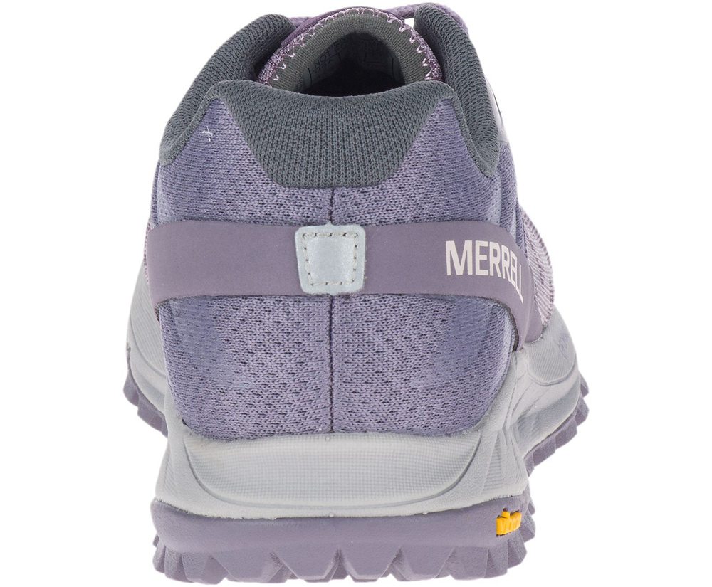 Merrell Sneakers Purple - Antora - Womens 86HRJPWMQ